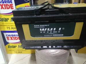 Whli Din 80 Car Battery Maintenance Free