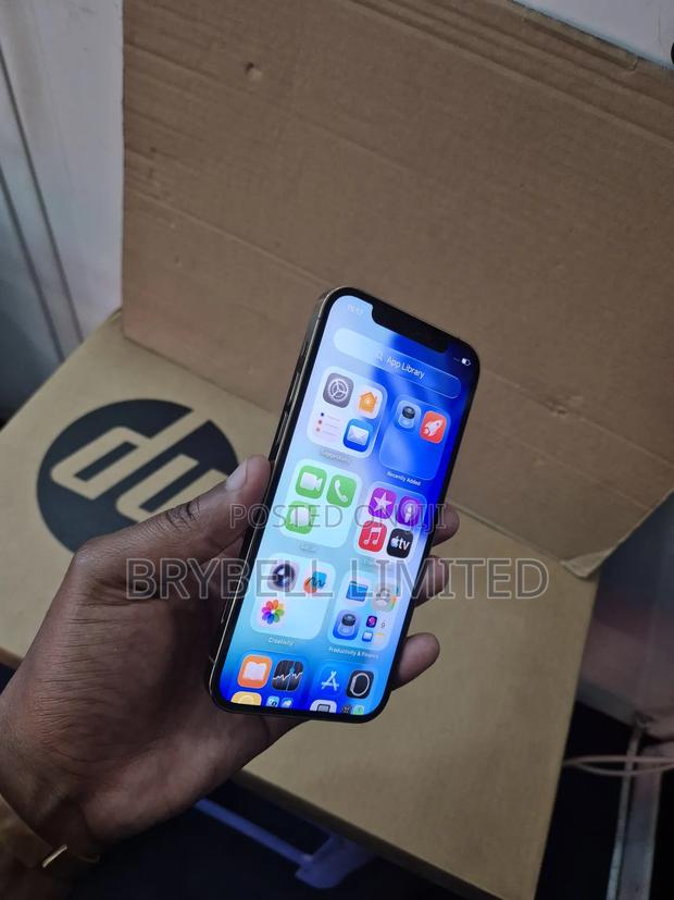 Apple iPhone 13 Pro Max 256 GB Green - thumbnail 4