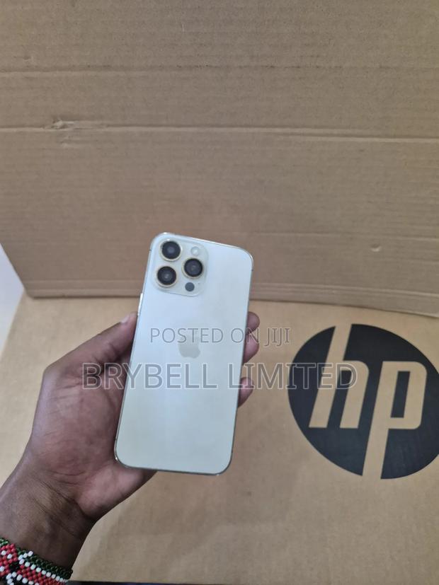 Apple iPhone 13 Pro Max 256 GB Gold - thumbnail 13