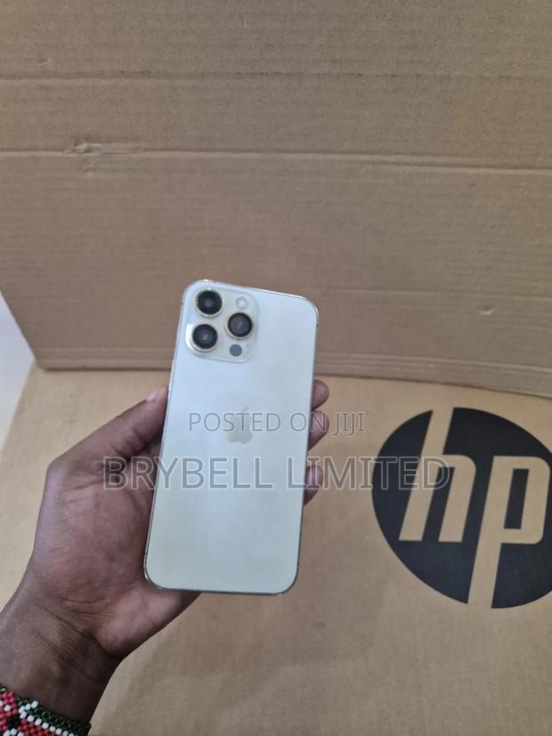 Apple iPhone 13 Pro Max 256 GB Gold - thumbnail 14