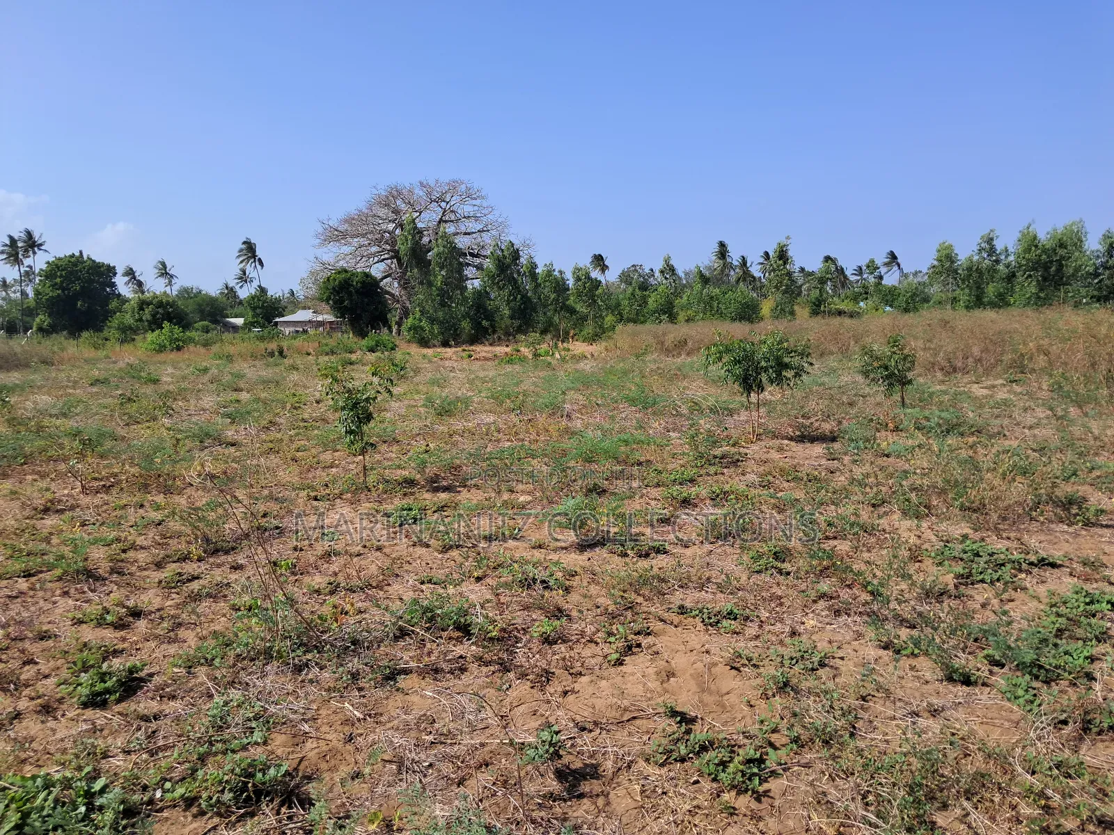 Muyaza Plots