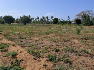 Muyaza Plots