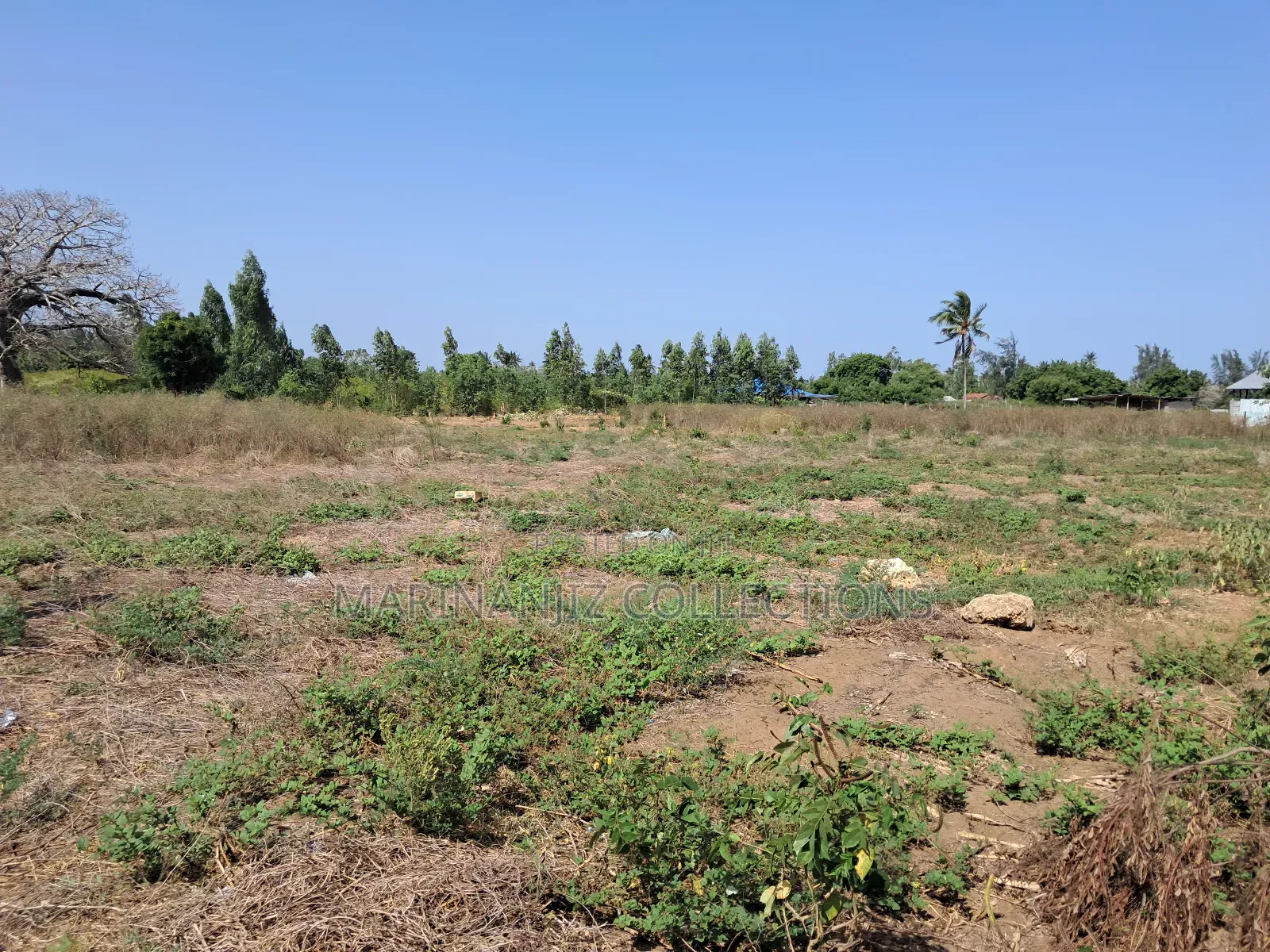 Muyaza Plots