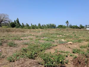 Muyaza Plots