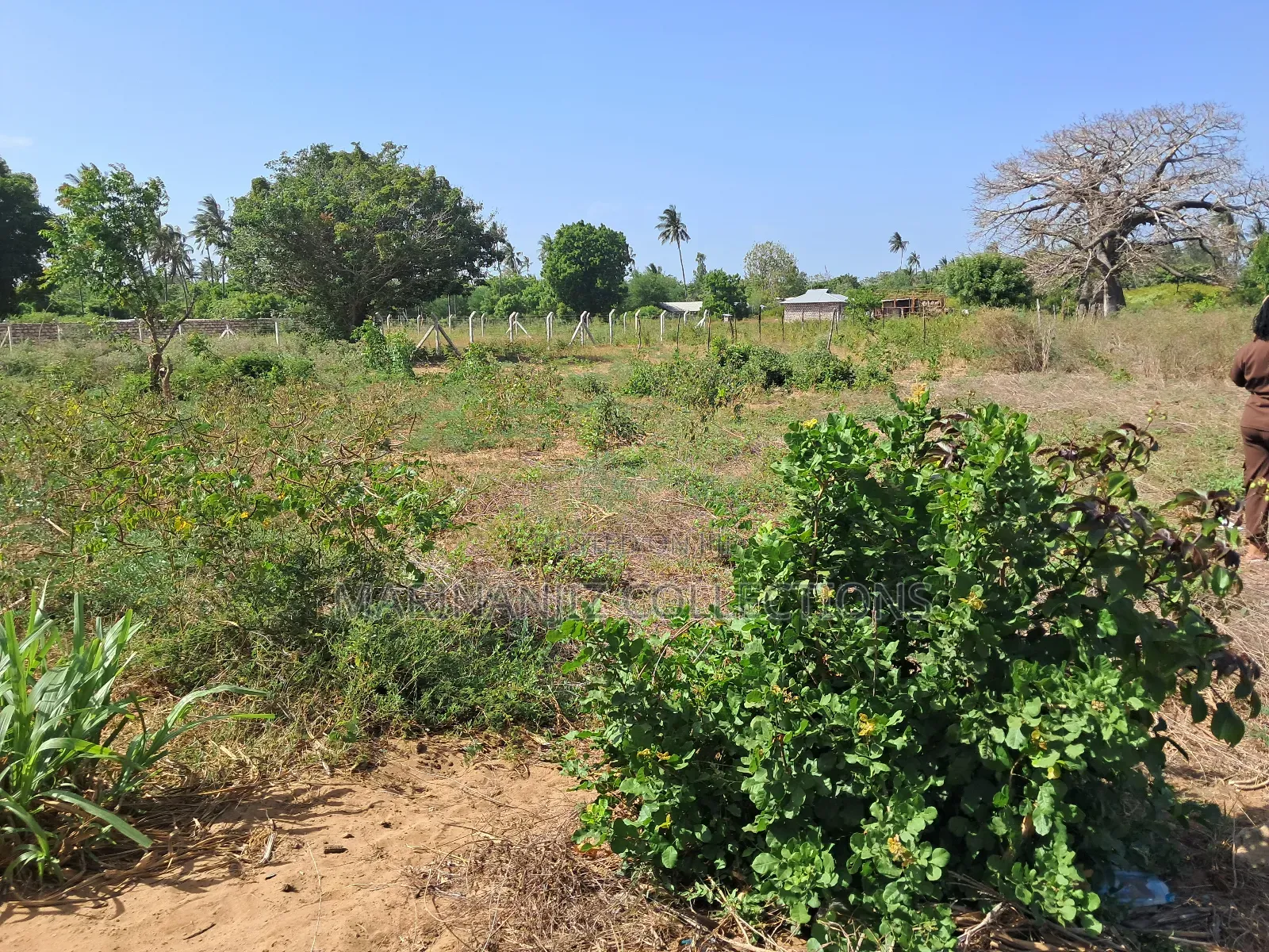 Muyaza Plots