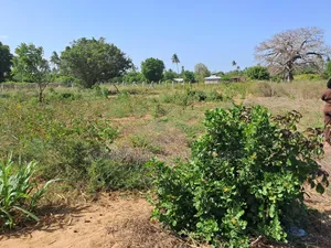 Muyaza Plots