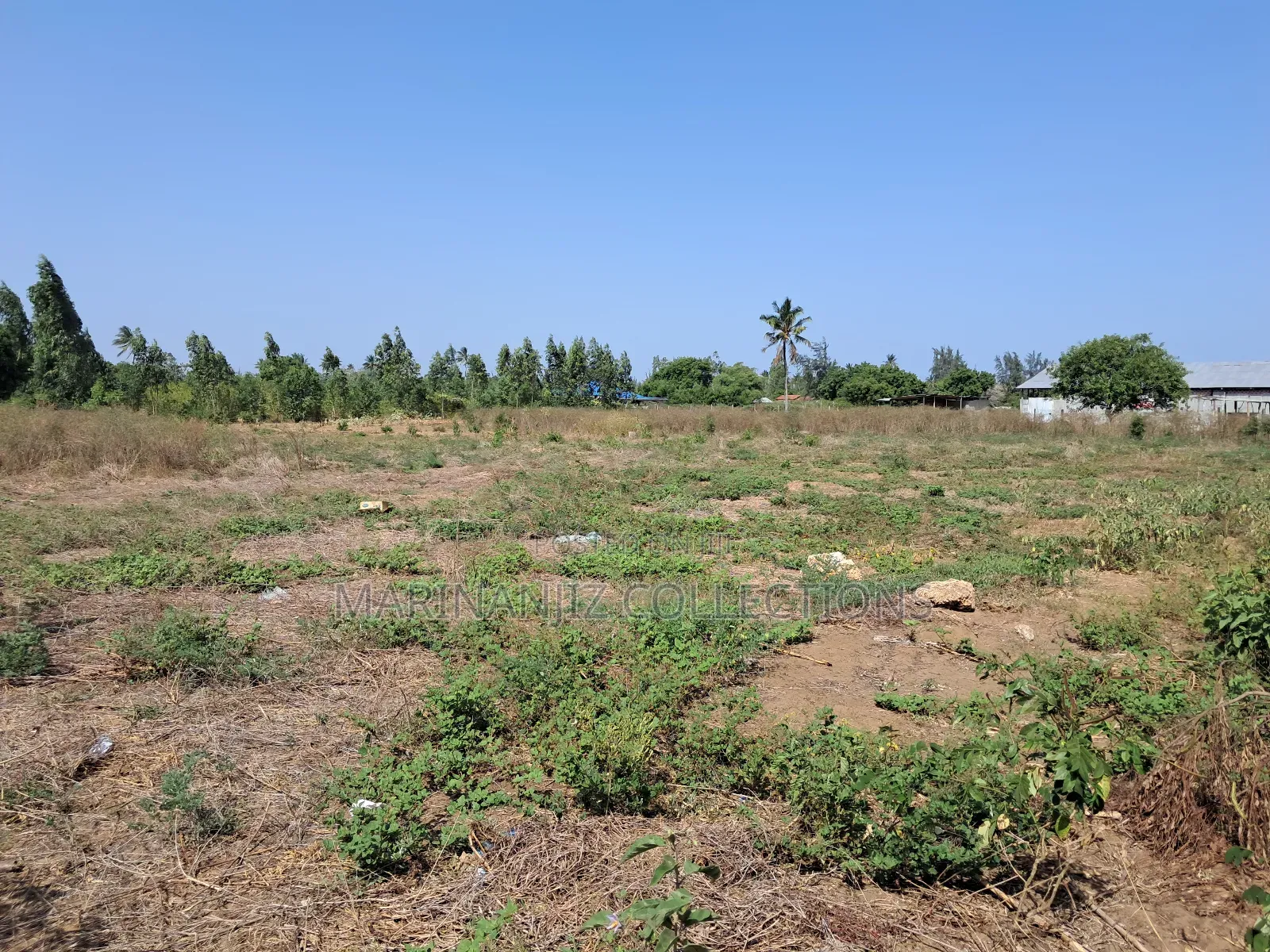 Muyaza Plots