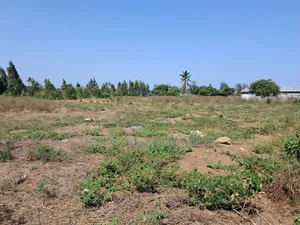 Muyaza Plots