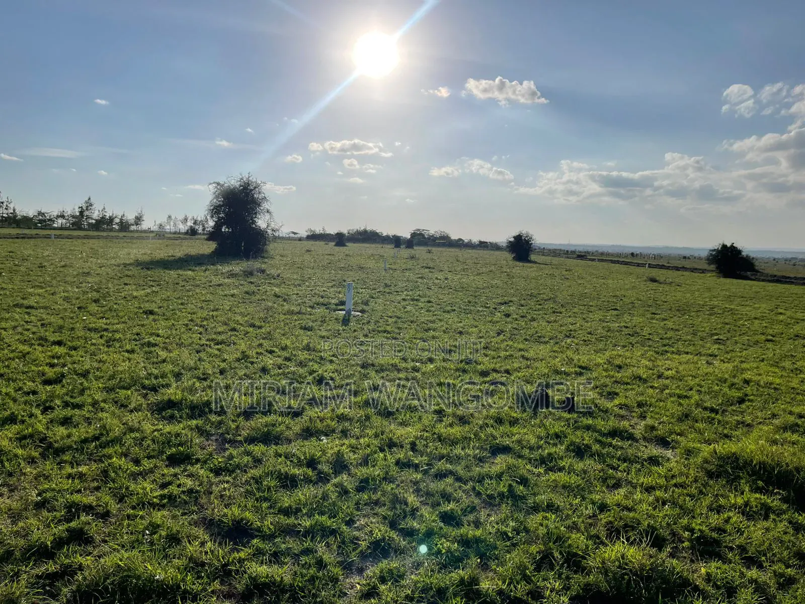 Kitengela Prime Plots