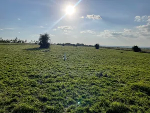 Kitengela Prime Plots