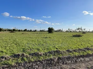 Kitengela Prime Plots