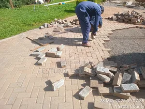 Driveway Cabros Repair Services.