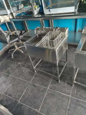 Heavy Duty Stainless Steel Double Fryer
