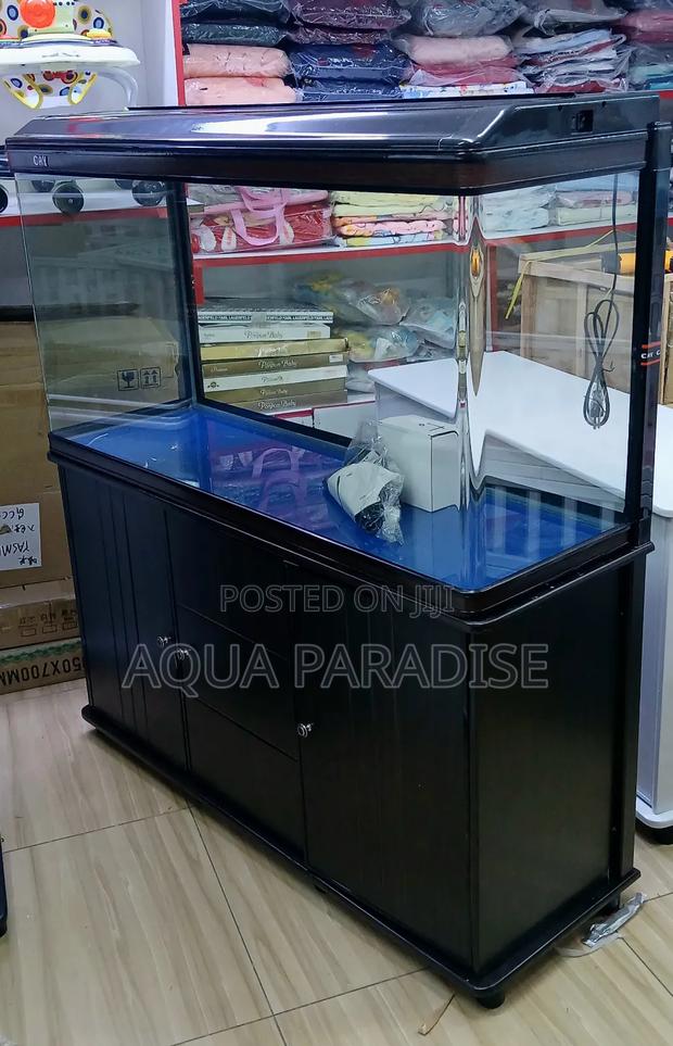 Imported 4 Ft Tank - main view