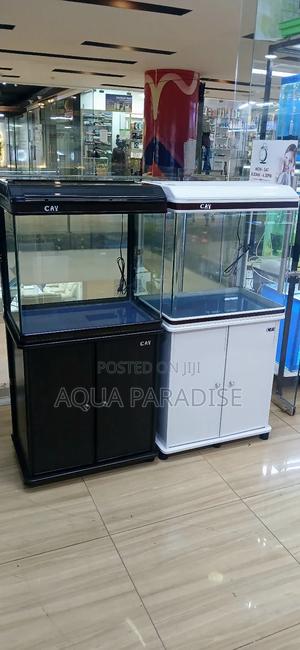 Aquarium Tanks 2 Ft - thumbnail 2