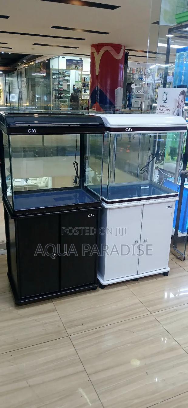 Aquarium Tanks 2 Ft - main view
