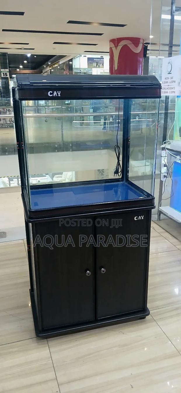 Aquarium Tanks 2 Ft - thumbnail 3