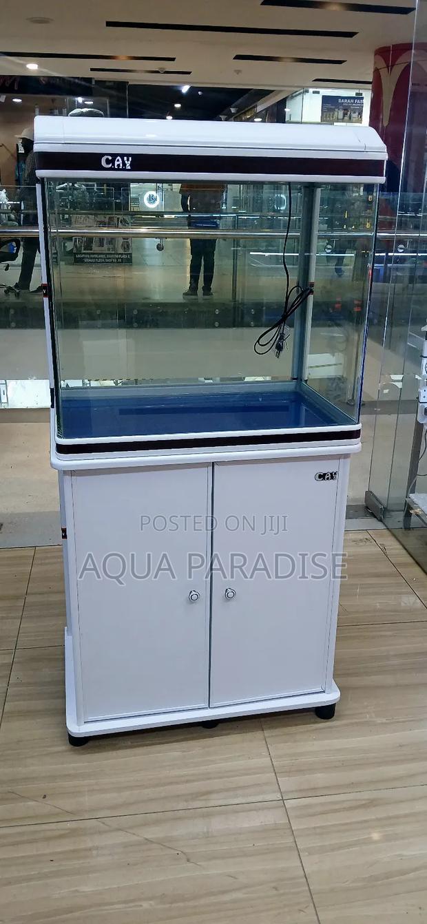 Aquarium Tanks 2 Ft - thumbnail 4