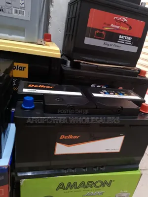 Delko Din 100 Car Battery Maintenance Free