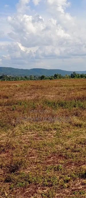 104 Acres for Sale