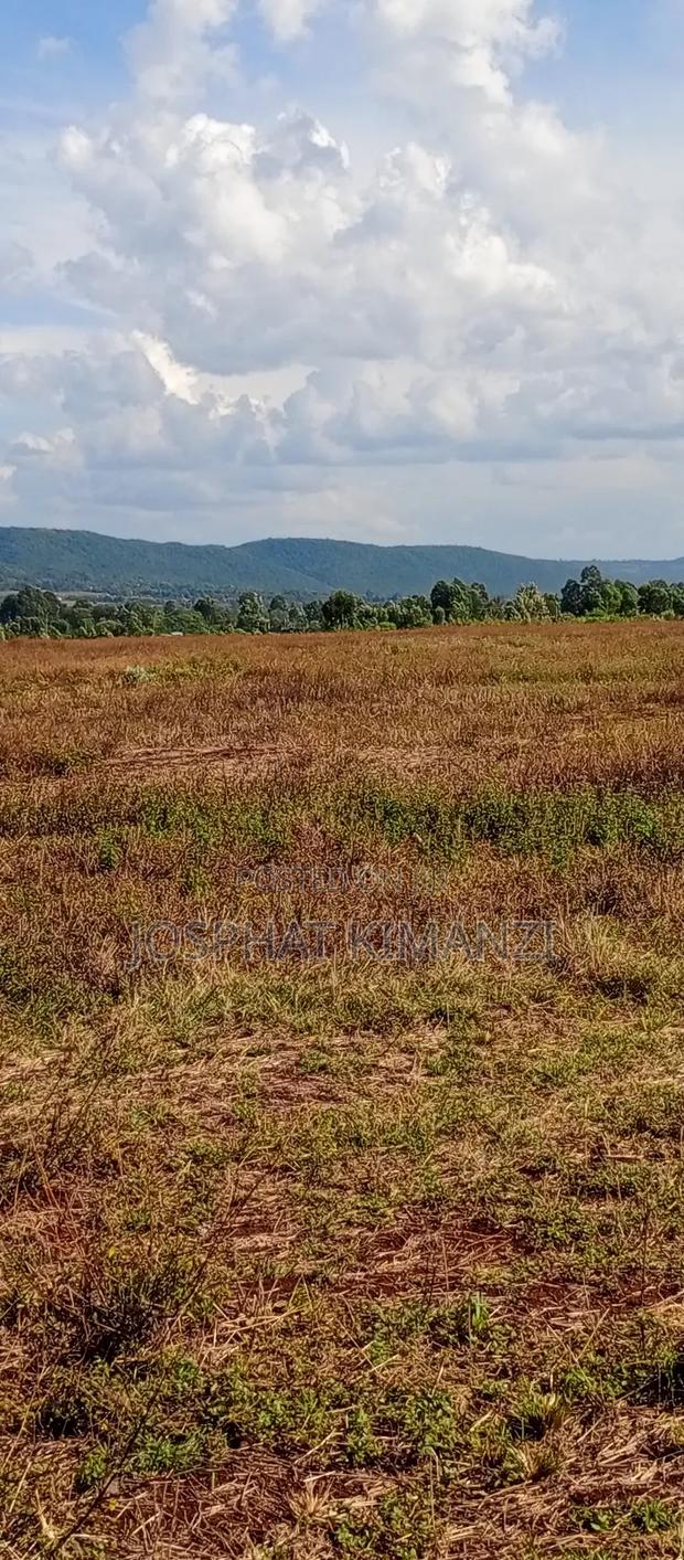 104 Acres for Sale - thumbnail 3