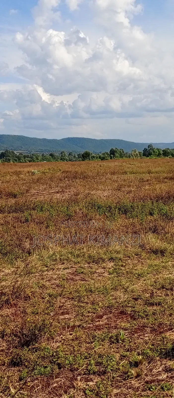 104 Acres for Sale