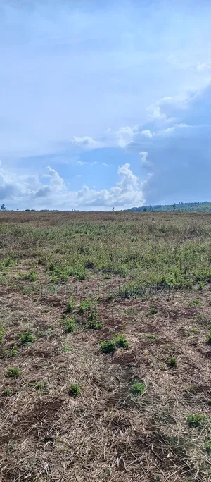 104 Acres for Sale