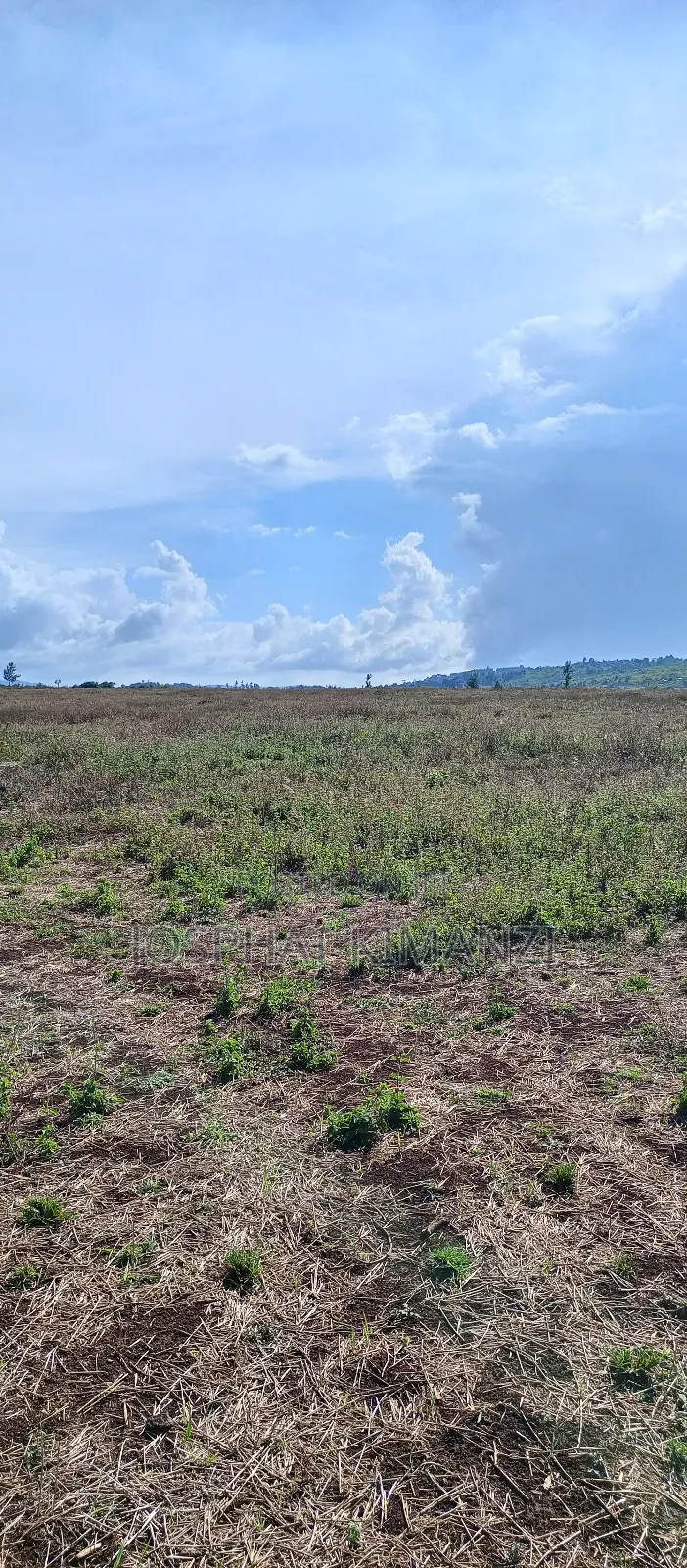 104 Acres for Sale