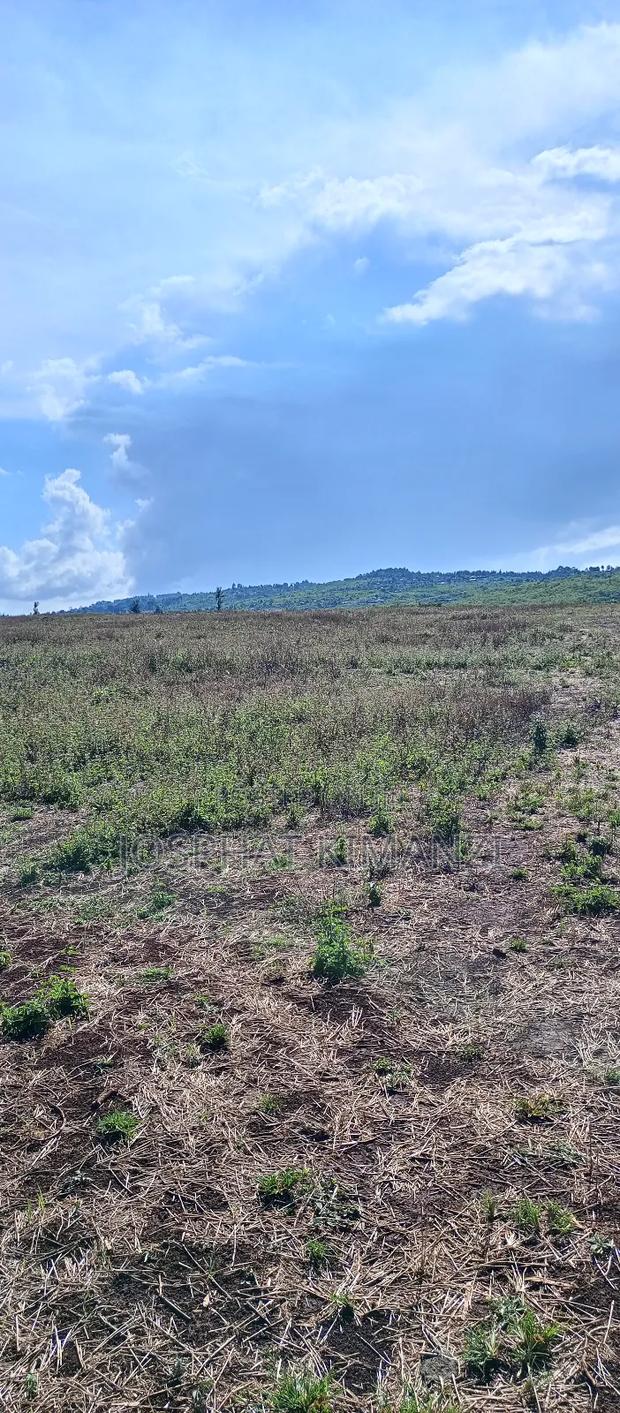 104 Acres for Sale - thumbnail 5