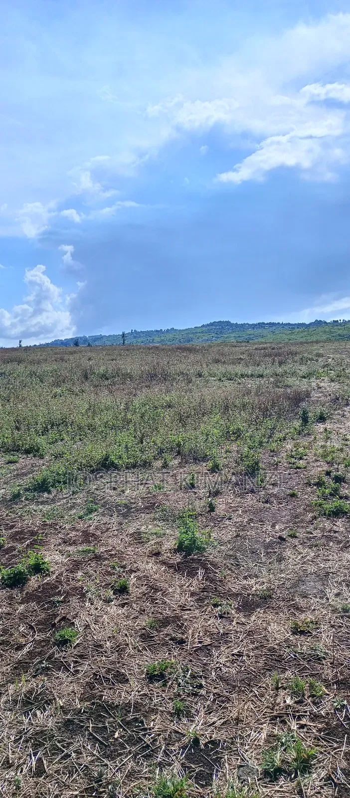 104 Acres for Sale