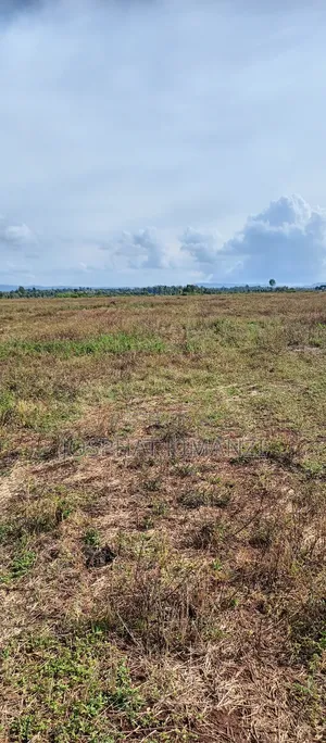 104 Acres for Sale