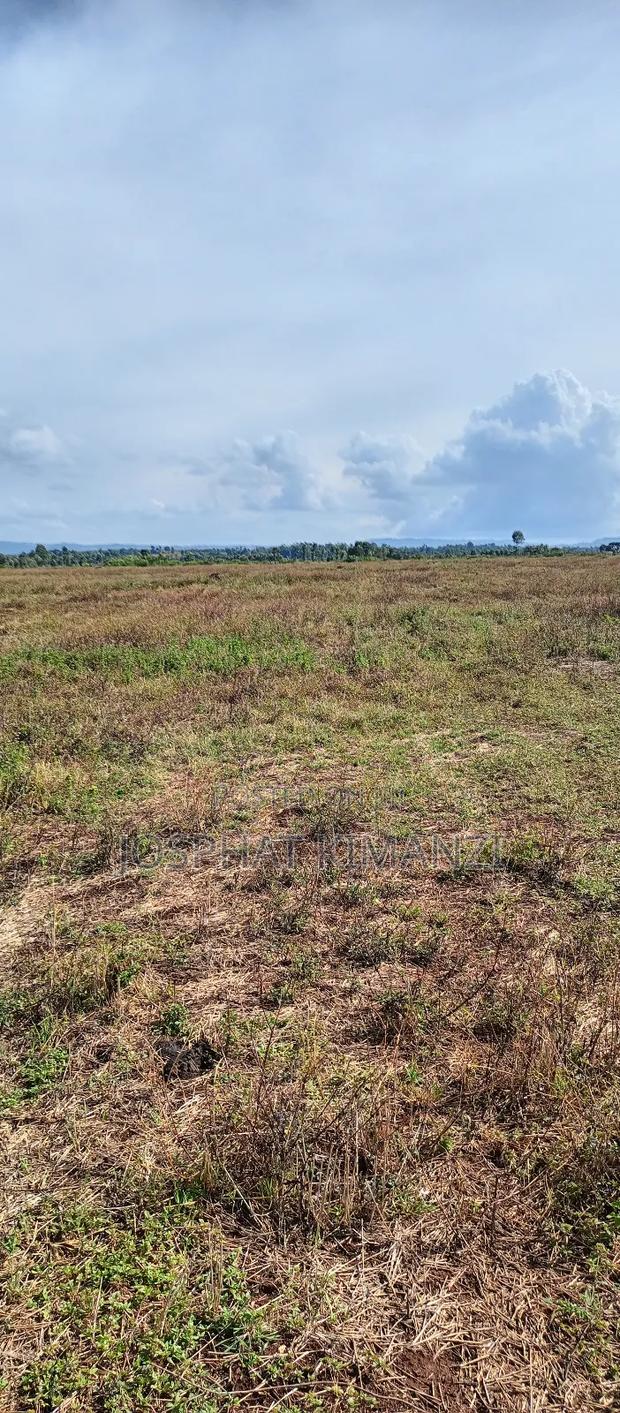 104 Acres for Sale - thumbnail 6