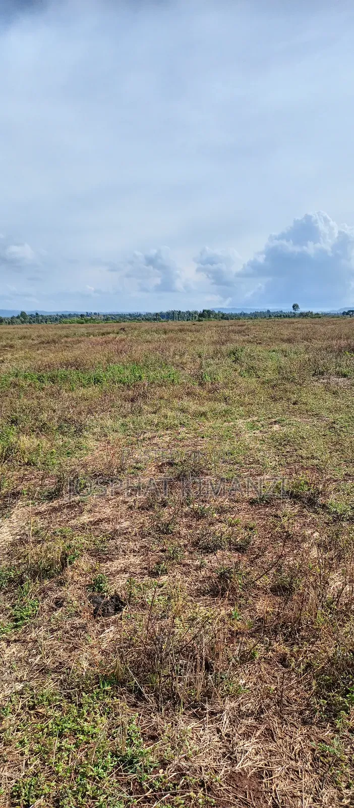 104 Acres for Sale