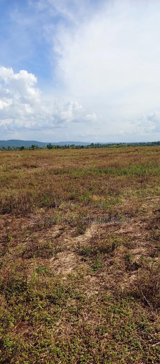 104 Acres for Sale - thumbnail 7