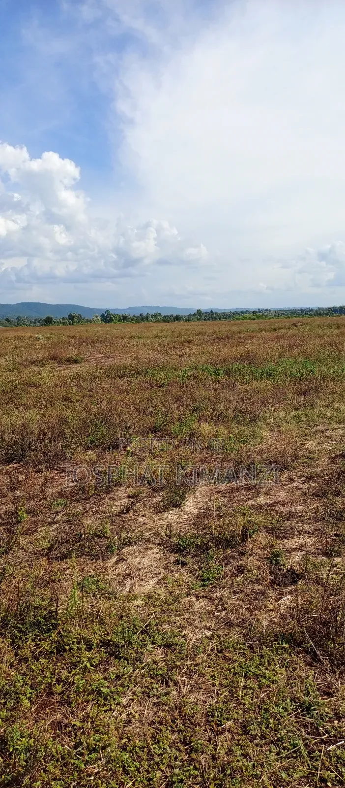 104 Acres for Sale