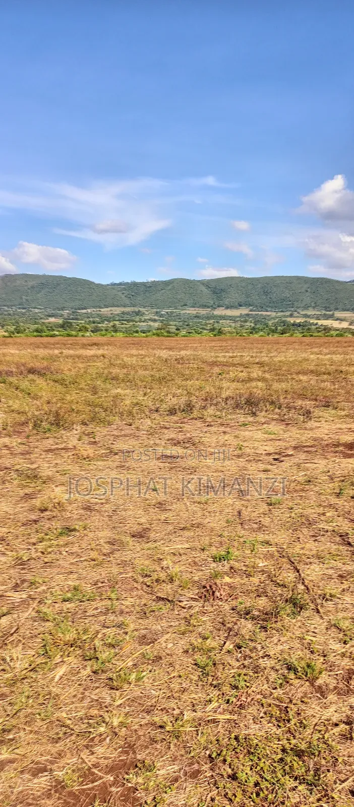 104 Acres for Sale