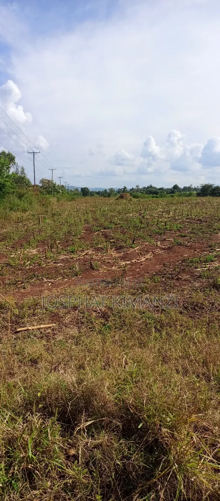 104 Acres for Sale
