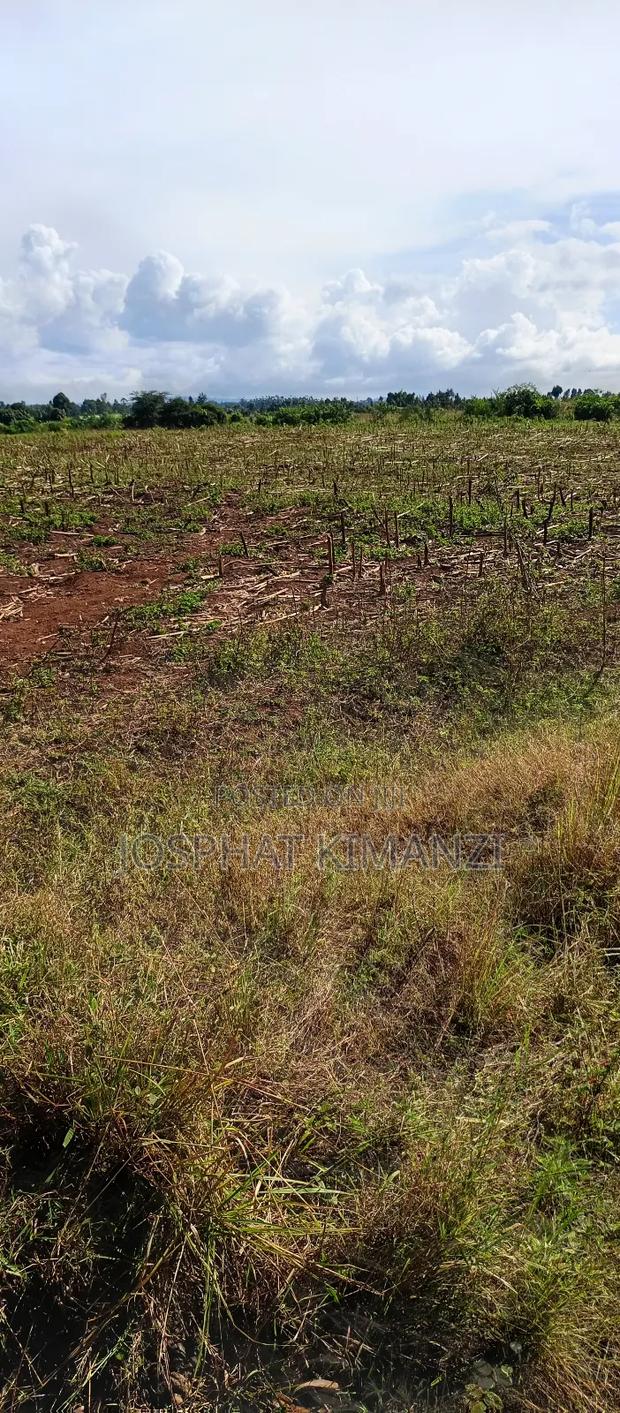 104 Acres for Sale - thumbnail 11