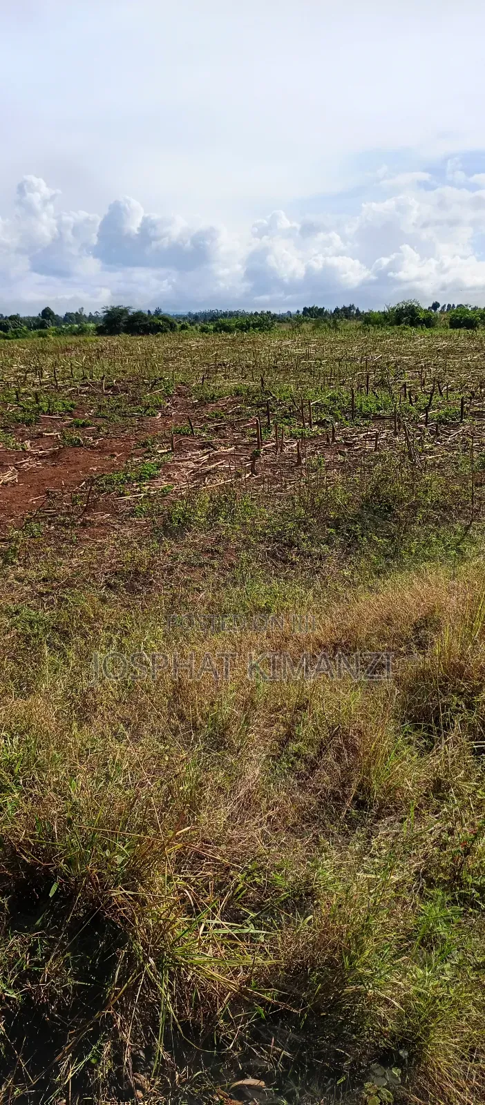 104 Acres for Sale