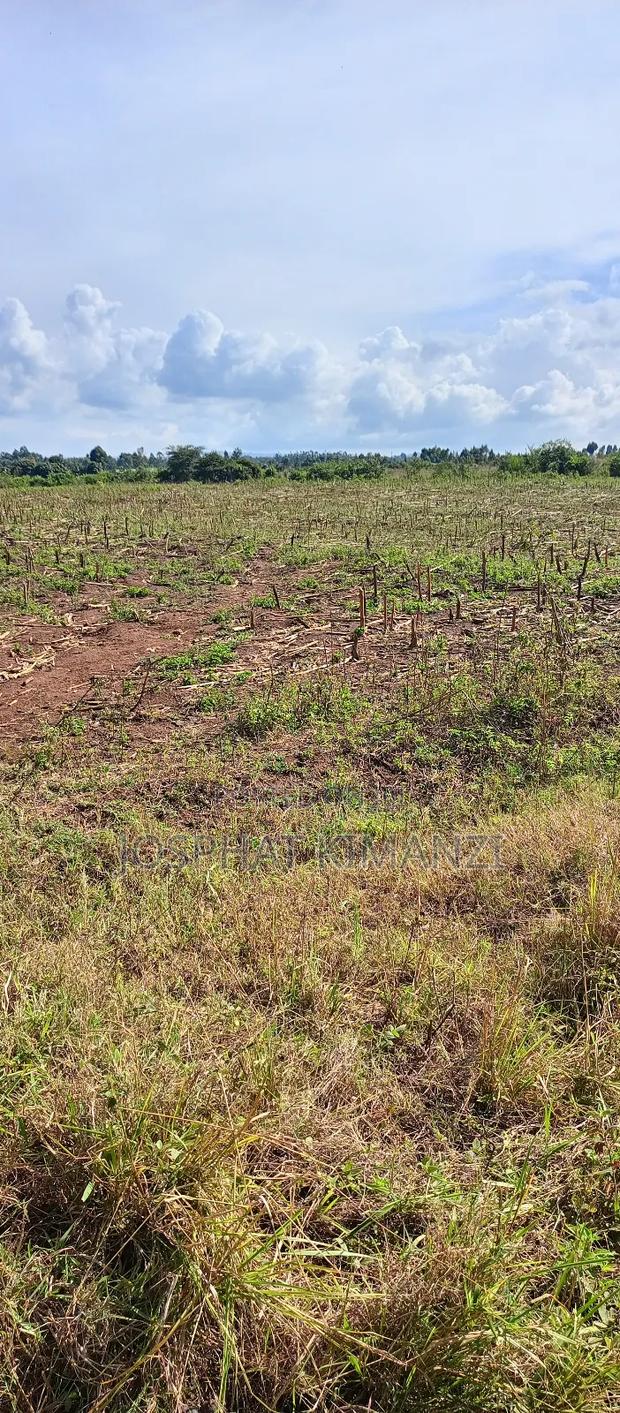 104 Acres for Sale - thumbnail 12