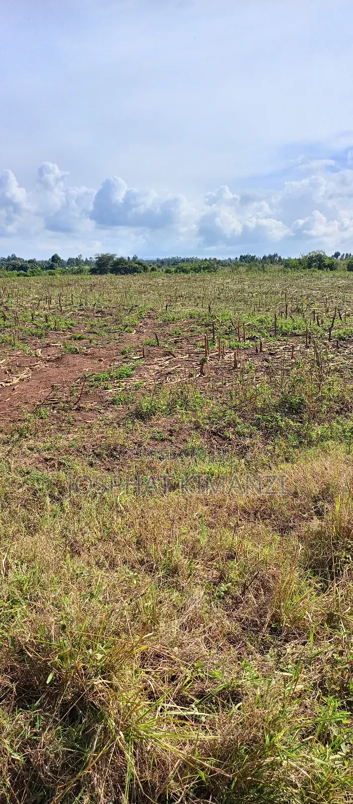 104 Acres for Sale