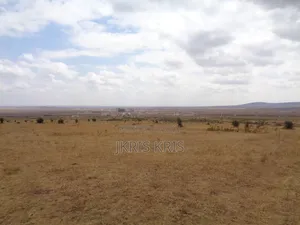 "Own a Prime 50×100 Plot in Konza North