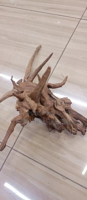 Aquarium Drift Woods Available - thumbnail 2