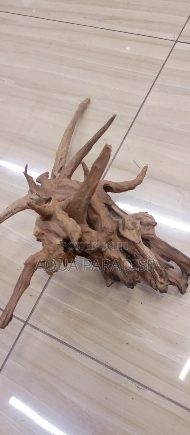 Aquarium Drift Woods Available - main view