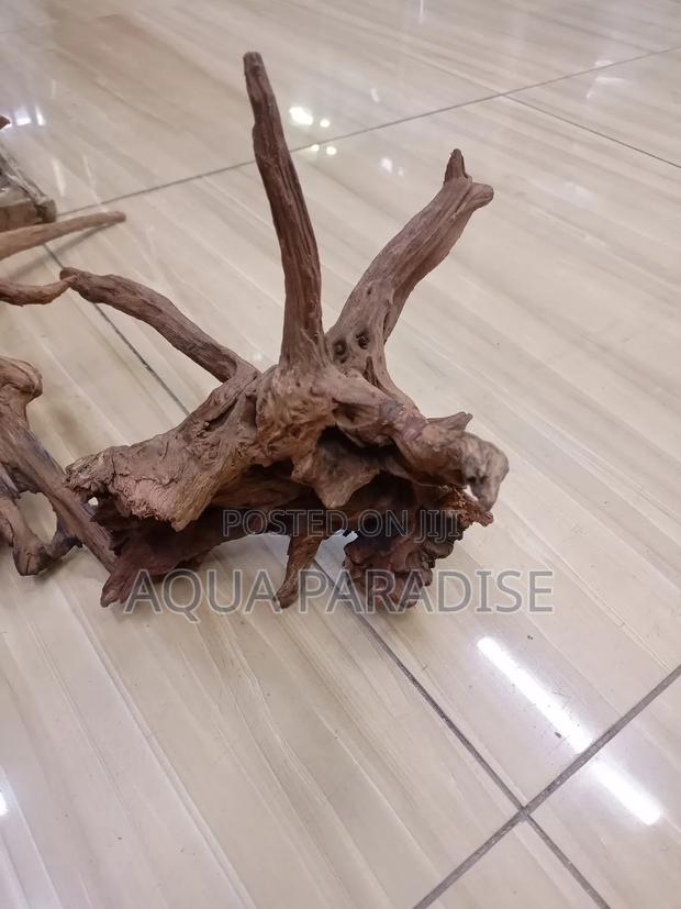 Aquarium Drift Woods Available - thumbnail 3