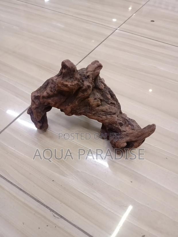 Aquarium Drift Woods Available - thumbnail 4