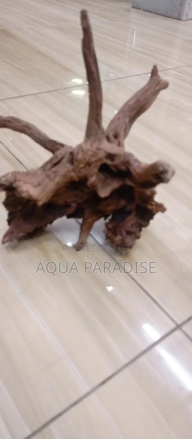 Aquarium Drift Woods Available - thumbnail 5