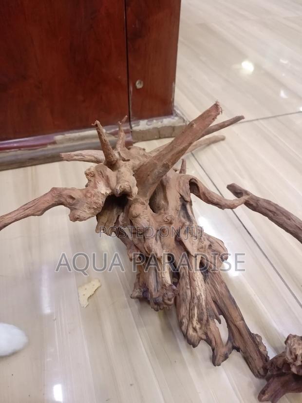 Aquarium Drift Woods Available - thumbnail 6
