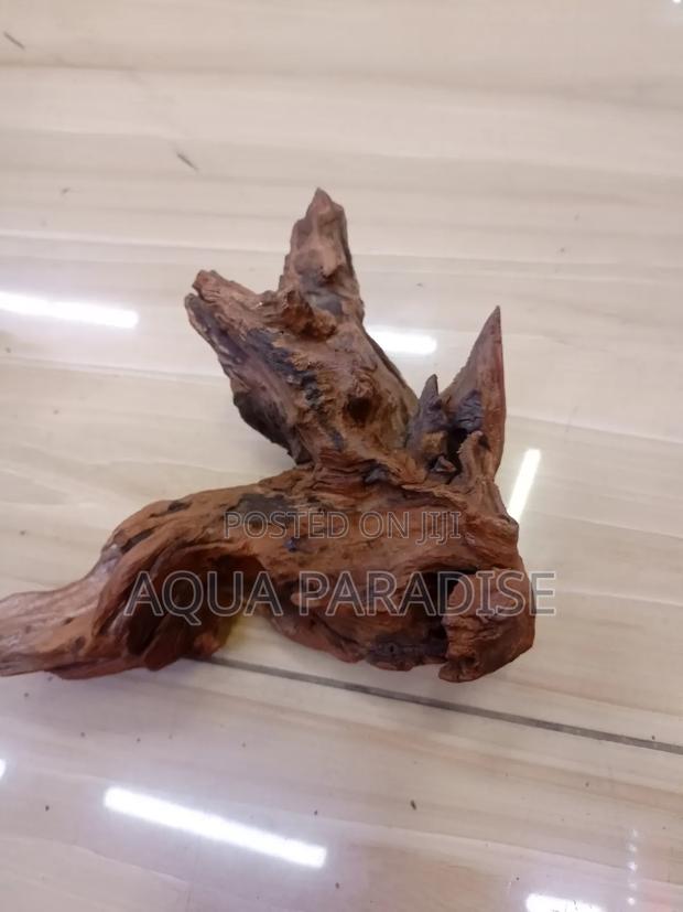 Aquarium Drift Woods Available - thumbnail 7