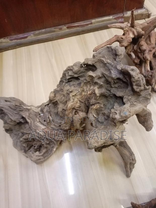 Aquarium Drift Woods Available - thumbnail 8